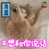 soogif soogif出品 冷漠 萌宠 拒绝 生气 不想和你说话 猫