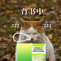 背书 zzz