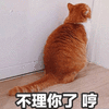 不理你 哼 拒绝 猫 可爱 呆萌