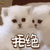 拒绝 可爱 狗狗 soogif soogif出品