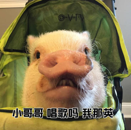 搭讪GIF大小图_搭讪尺寸_搭讪GIF动图-SOO表情表情动态包qq图片图片