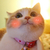 猫咪 仰视 脸红 可爱