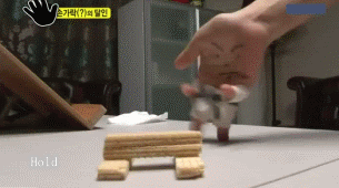 手指 会玩 搞笑  恶搞