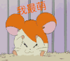 我最萌  萌 哈姆太郎