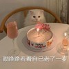萌宠 猫星人 眼睁睁看着自己老了一岁 无奈 呆萌 可爱
