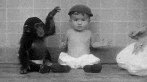 坐着 黑猩猩 摘帽子 小宝贝