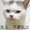 喵星人 眼睛猫 猫主子 女人不要玩火