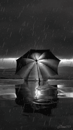 下雨 打伞 寂静 倒影