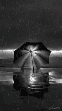 下雨 打伞 寂静 倒影