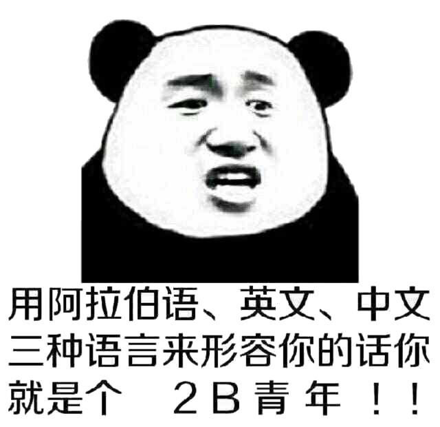 熊猫头 搞笑 雷人 斗图 用阿拉伯语、英文、中文三种语言来形容你的话你就是个「2B青年