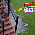 二哈 汪星人 搞笑 萌宠