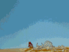 沙漠 骨架 水牛 逃跑 惊吓 可爱 动画 desert