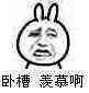 金馆长 兔子 面瘫 卧槽羡慕啊