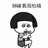暴漫 文字表情包 别碰我我怕猪 搞怪 沙雕 魔性
