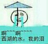 金馆长 下雨 哭泣 西湖的水我的泪