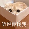 萌宠 喵星人 听说你找我 有事吗 呆萌 可爱