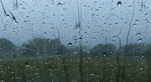 雨水 玻璃 自然 树木