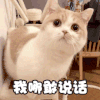 萌宠 猫星人 我哪敢说话 卑微 搞怪 逗