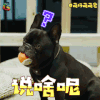 萌仔萌萌宅 八戒 说啥呢 蒙圈 soogif soogif出品