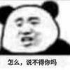 暴漫 熊猫头 怎么 说不得你吗 搞怪 逗