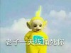 天线宝宝 蓝天 白云 黄色 老子一天线捅死你