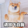 萌宠 汪星人 请放飞自我 别管那么多了 可爱 呆萌