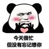 熊猫头 文字表情包 今天很忙 但是没有忘记想你 搞笑 逗 沙雕