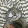 猫 金钱 眼睛 可爱 呆萌
