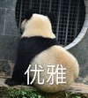 萌宠 熊猫 优雅 端庄 呆萌 可爱