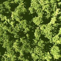 植物 疯狂 旋转 迷幻 森林 plants nature