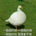 大鹅 草地 白毛 一般般的你我甩都不甩