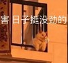 萌宠 猫星人 日子挺没劲的 无奈 呆萌 可爱