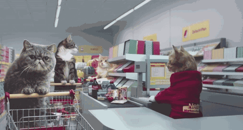 猫咪 点头 超市 购物车