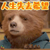 帕丁顿熊 帕丁顿 人生失去希望 soogif soogif出品