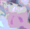 长发 美女 气质 清纯