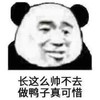 暴漫 文字表情包 长这么帅不去做鸭子真可惜 魔性 搞怪 沙雕