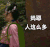 妈耶人这么多 站住 孙悟空 古装 西游记