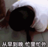 萌娃 tatan 从早到晚 忙里忙外 可爱 搞笑 呆萌