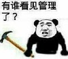 有谁看见管理了 锤子 熊猫人 得意