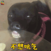 萌宠 狗 不想 吭气 生气 soogif soogif出品