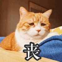 丧 伤心 猫