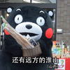 还有远方的淮山 熊本熊 山药 红脸蛋