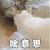 萌宠 猫星人 啥意思 我不懂 搞怪 呆萌