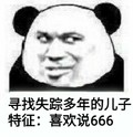 熊猫头 可爱 搞笑 雷人 斗图 寻找失踪多年的儿子 特征 喜欢说 666