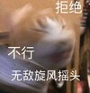 萌宠 猫星人 不行 拒绝 呆萌 可爱