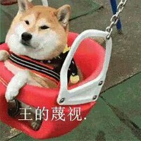 萌宠 汪星人 王的藐视 嫌弃 呆萌 可爱