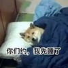 萌宠 猫星人 你们约 我先睡了 搞怪 呆萌