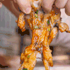食物 美食 美味 牛蛙