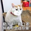 萌宠 喵星人 勤洗手戴口罩 病毒不会往你靠 憨憨 可爱