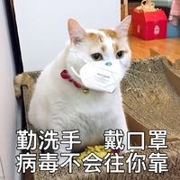 萌宠 喵星人 勤洗手戴口罩 病毒不会往你靠 憨憨 可爱